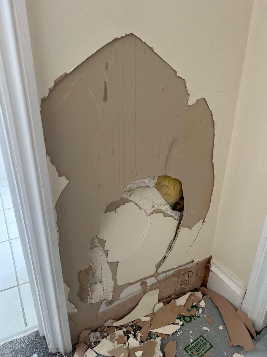 Painter and Decorator: Image 3